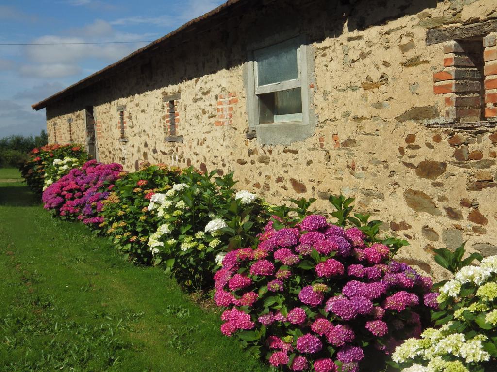 Chavagnes-les-Redoux A La Haute Bouillere Bed & Breakfast エクステリア 写真